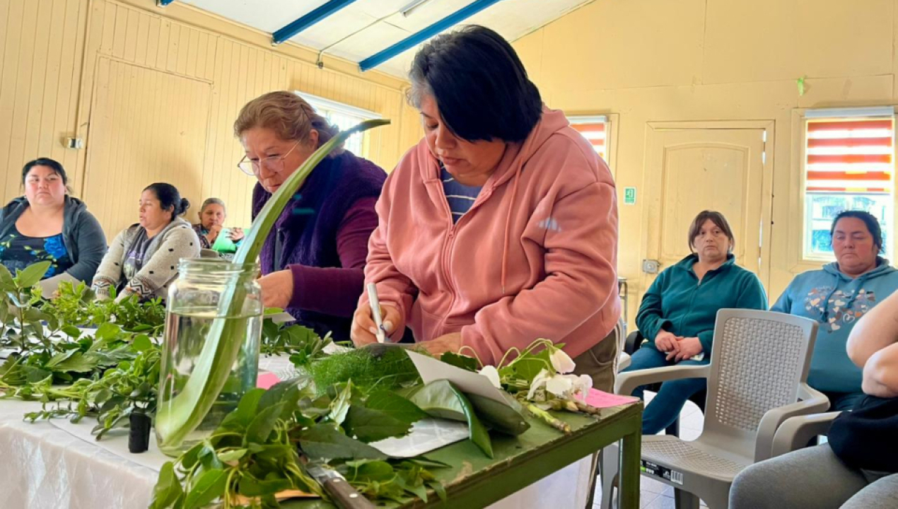 /vecinas-de-pehuen-exploran-el-uso-de-hierbas-medicinales-en-taller-de