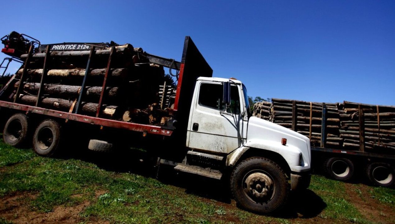 /regionales/region-de-la-araucania/asoc-de-municipios-de-la-araucania-piden-royalty-forestal-es-momento-de