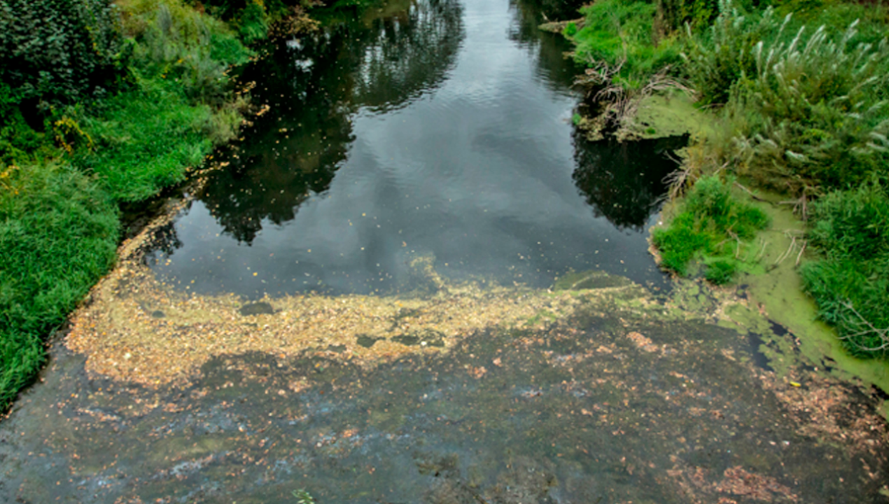 /regionales/region-del-biobio/rio-quilleco-deja-de-ser-apta-para-el-bano-por-alta-contaminacion-de-sus