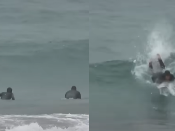 Ignoran posible riesgo: grupo surfea en Reñaca durante alerta de tsunami en Chile