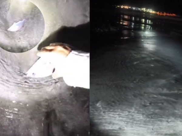 IRRESPONSABILIDAD TOTAL | Graban video en playa durante fuerte recogida de mar en Chile