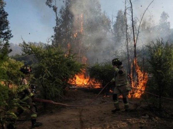 Autoridades alertan récord de detenidos por incendios forestales en Chile