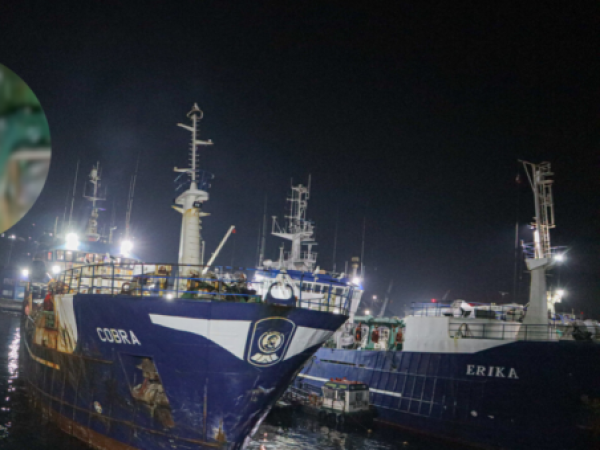 Juzgado de Garantía de Coronel definió las medidas cautelares contra imputados por colisión de la lancha Bruma: quedaron con arraigo nacional