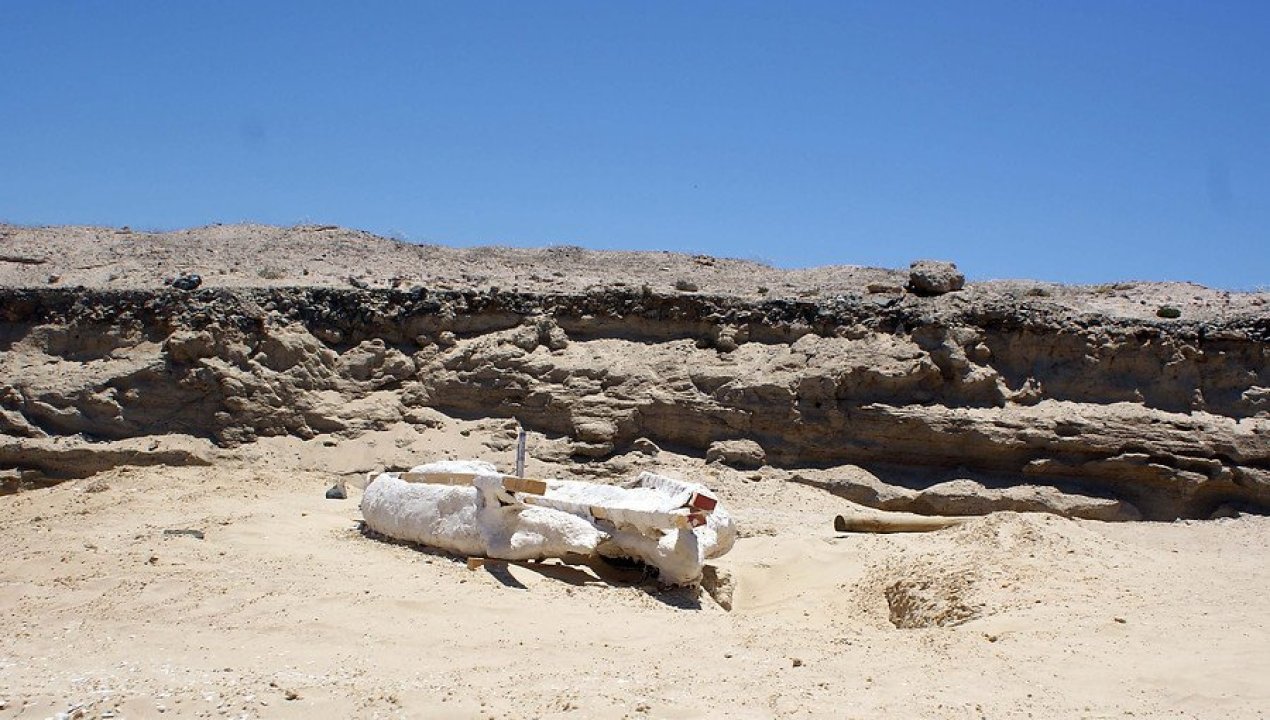 /tendencias/nasa-bautiza-crater-en-marte-como-antofagasta-por-similitud-con-el
