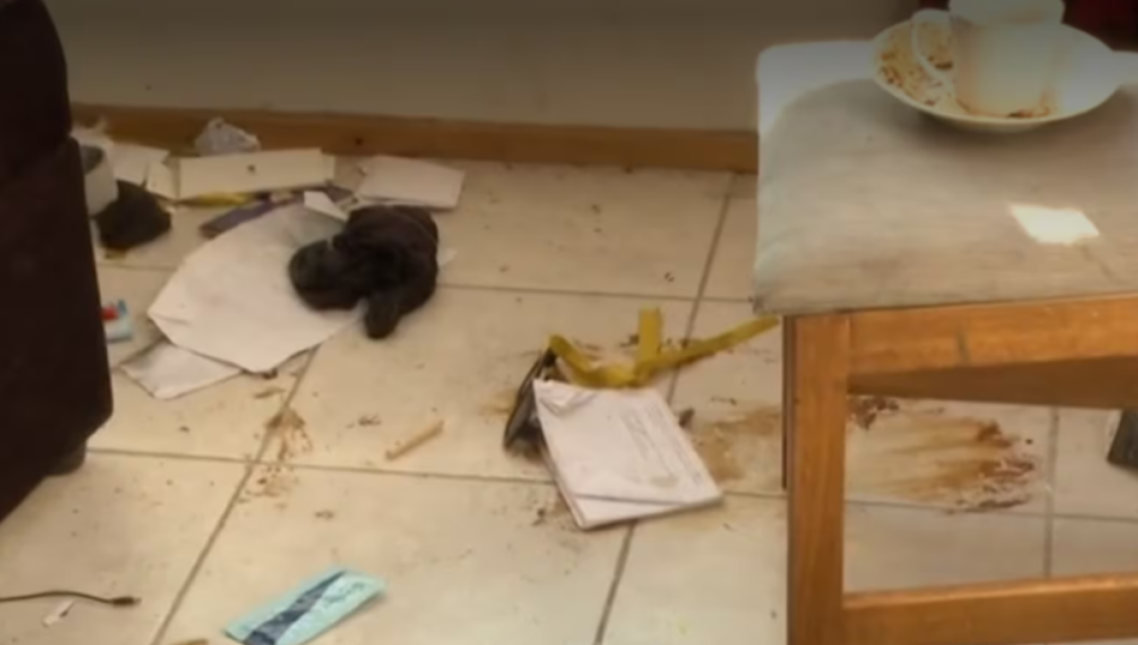 /magazine/desalojan-a-reconocida-actriz-chilena-y-muestran-el-impactante-estado-del